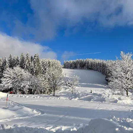 Baer * Feldberg (Baden-Wurttemberg)