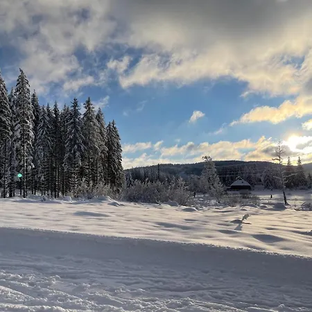 Baer * Feldberg (Baden-Wurttemberg)