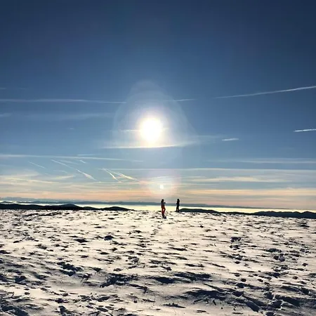 Baer * Feldberg (Baden-Wurttemberg)